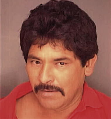 Aniceto Meneces - Polk County, FL 