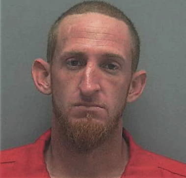 Marius Negrin, - Lee County, FL 