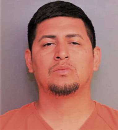 Alfredo Vigil-Avellaned, - Polk County, FL 