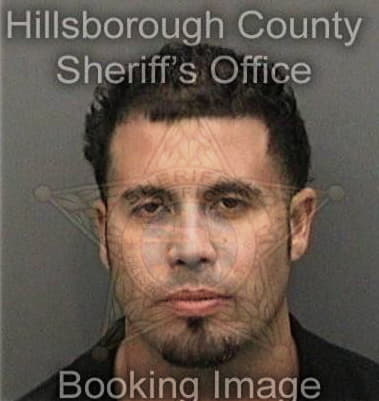 Tyler Hagaman, - Hillsborough County, FL 