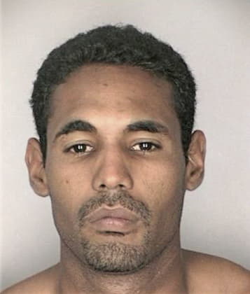 Thomas McLaughlin - Hillsborough County, FL 