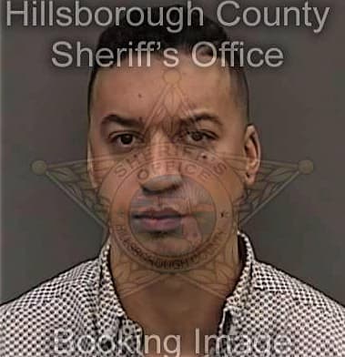 Daniel Sanner, - Hillsborough County, FL 