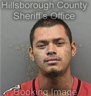 Ryan Stoutenburg, - Hillsborough County, FL 