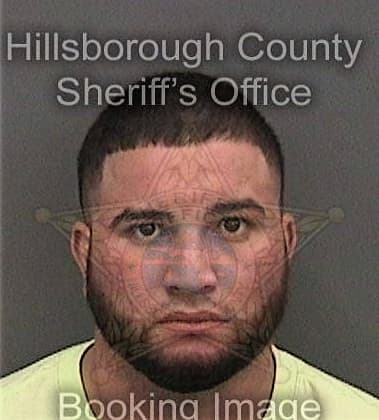 Joseph Christie - Hillsborough County, FL 