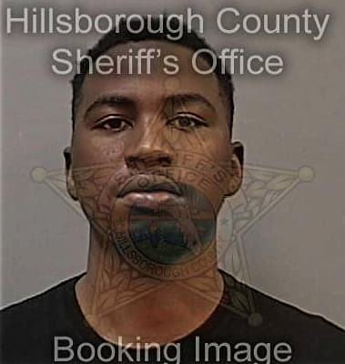 Dwayne Davis, - Hillsborough County, FL 