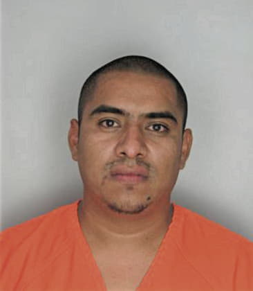 Jaime Henriquezmatias - Hillsborough County, FL 