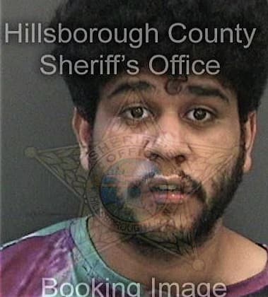 Jaykumar Patel, - Hillsborough County, FL 