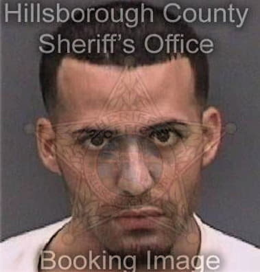 Anthony Alvarez, - Hillsborough County, FL 