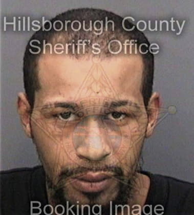 Jesus Friasvillagomez, - Hillsborough County, FL 