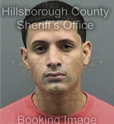 James Niklinski, - Hillsborough County, FL 