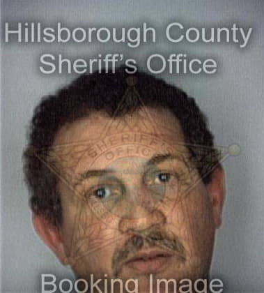 Eliodoro Ortizflores, - Hillsborough County, FL 