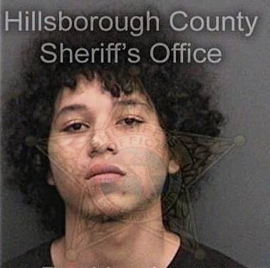 Joel Santodomingoortiz, - Hillsborough County, FL 