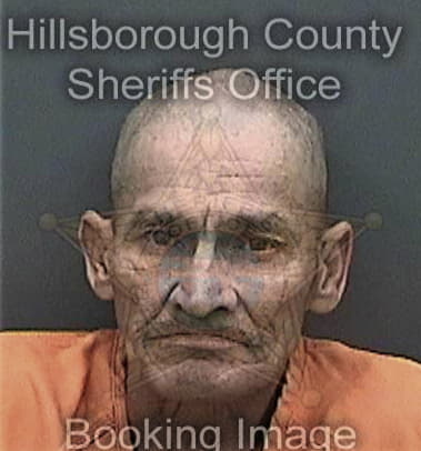 Brian Williams - Hillsborough County, FL 