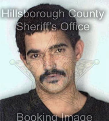 Francisco Arciniega, - Hillsborough County, FL 