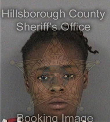 Trinetta Bradshaw - Hillsborough County, FL 