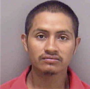 Diego Castro-Imul, - Lee County, FL 