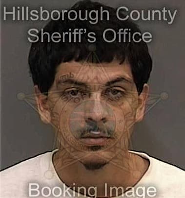 Oscar Maycaal - Hillsborough County, FL 