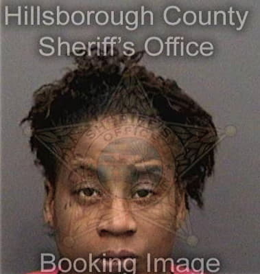 Ulastein McMillan - Hillsborough County, FL 
