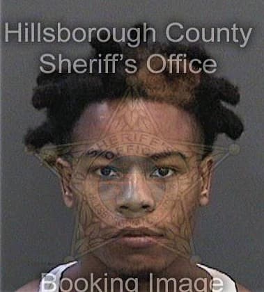 Paul Means - Hillsborough County, FL 
