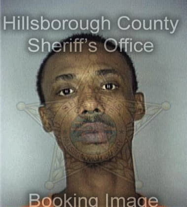 Lawrence Olaogu, - Hillsborough County, FL 