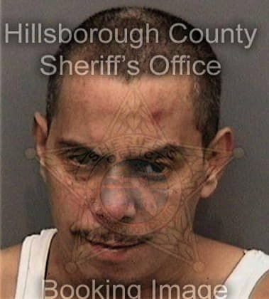 Marcos Ventura, - Hillsborough County, FL 