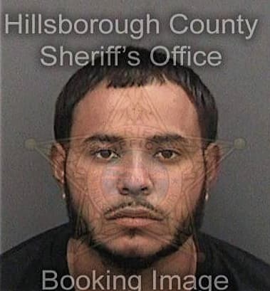 Kevin Williams, - Hillsborough County, FL 