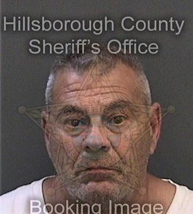 Edwin Alvaradogranados, - Hillsborough County, FL 