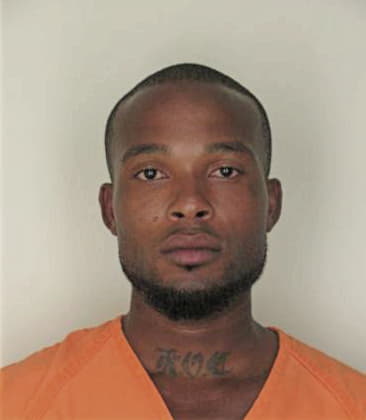 Palmer Cohendixon - Hillsborough County, FL 