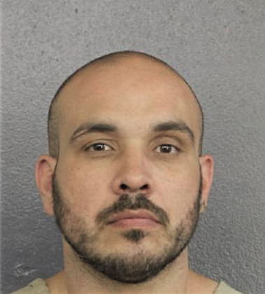 Adan Dominguez-Rojas, - Broward County, FL 