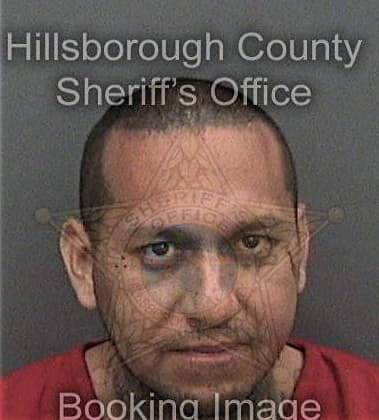 Roberto Maldonado-Maldonado, - Hillsborough County, FL 