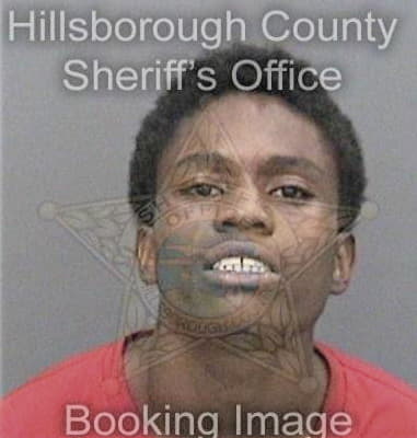 Robert Mayhue - Hillsborough County, FL 