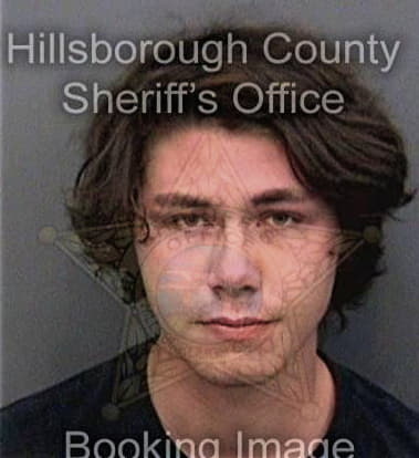 Damian Weaver, - Hillsborough County, FL 