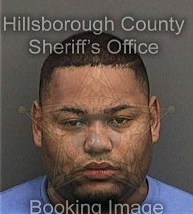 Ryan Bargeron, - Hillsborough County, FL 