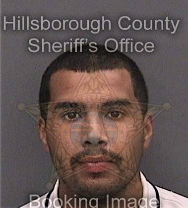 Daniel Bryant, - Hillsborough County, FL 