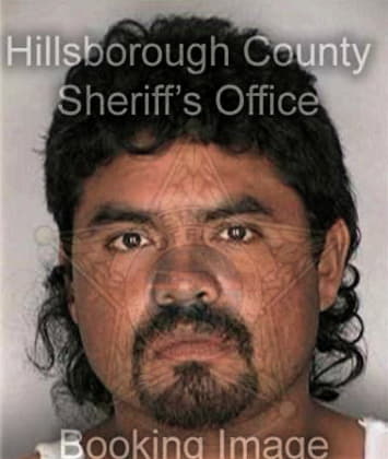 Fernando Mendez - Hillsborough County, FL 