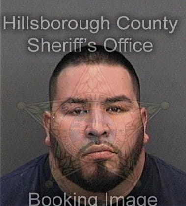 Gregory Flott, - Hillsborough County, FL 