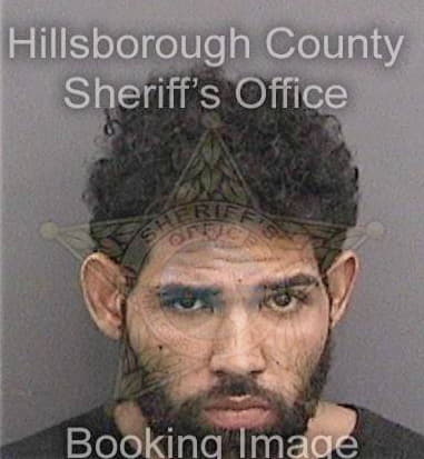 Milik James, - Hillsborough County, FL 