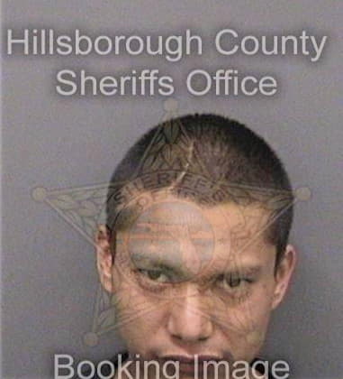 Christopher McGhee - Hillsborough County, FL 