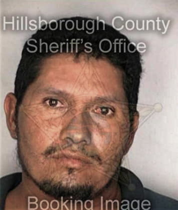 Michael McGowan - Hillsborough County, FL 