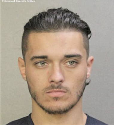 Patrick Poirier, - Broward County, FL 