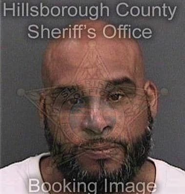 Aleksandr Strogonov, - Hillsborough County, FL 