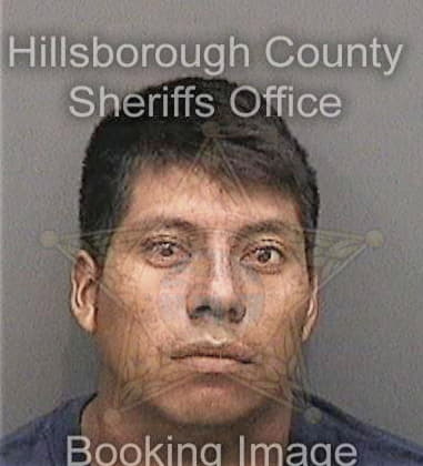 Andrew Adams, - Hillsborough County, FL 