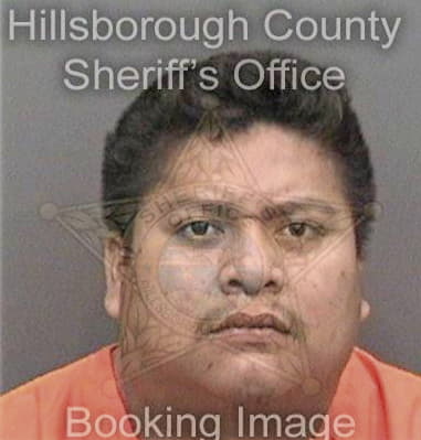 Louis Faragon, - Hillsborough County, FL 