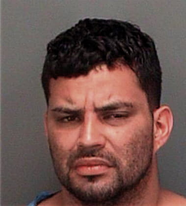 Marcos Gutierrezpicos, - Pinellas County, FL 