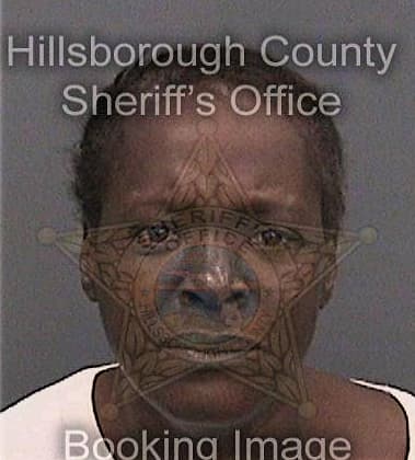 Ashanti Mattear - Hillsborough County, FL 
