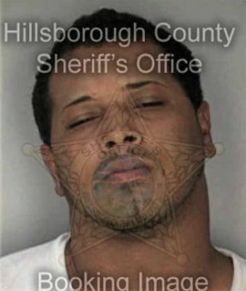 Samson Mauger - Hillsborough County, FL 