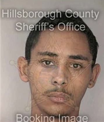 Daniel Mitchell - Hillsborough County, FL 