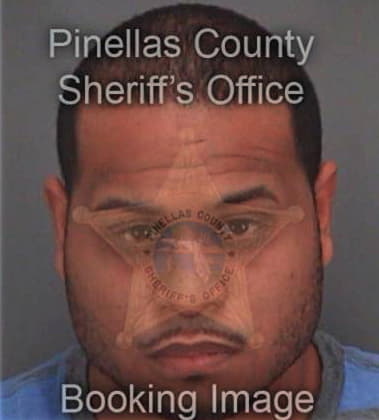 Daniel Perezrivera, - Pinellas County, FL 