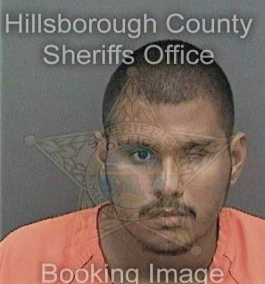 Christopher Birchfield - Hillsborough County, FL 