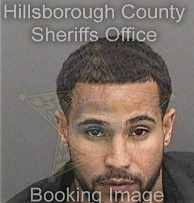 Demetrius Johnson, - Hillsborough County, FL 